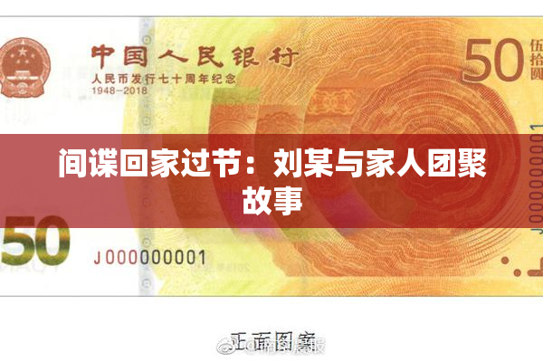 间谍回家过节：刘某与家人团聚故事
