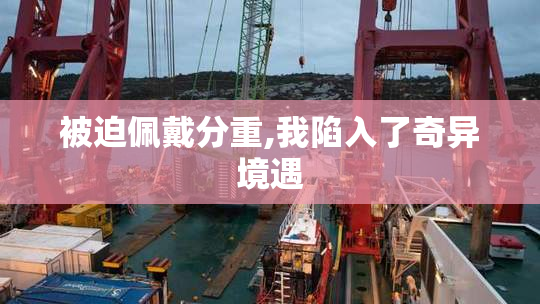 被迫佩戴分重,我陷入了奇异境遇