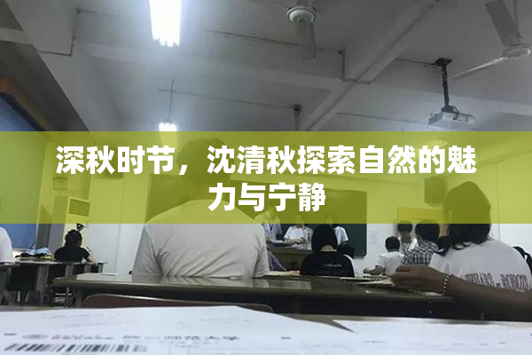 深秋时节，沈清秋探索自然的魅力与宁静