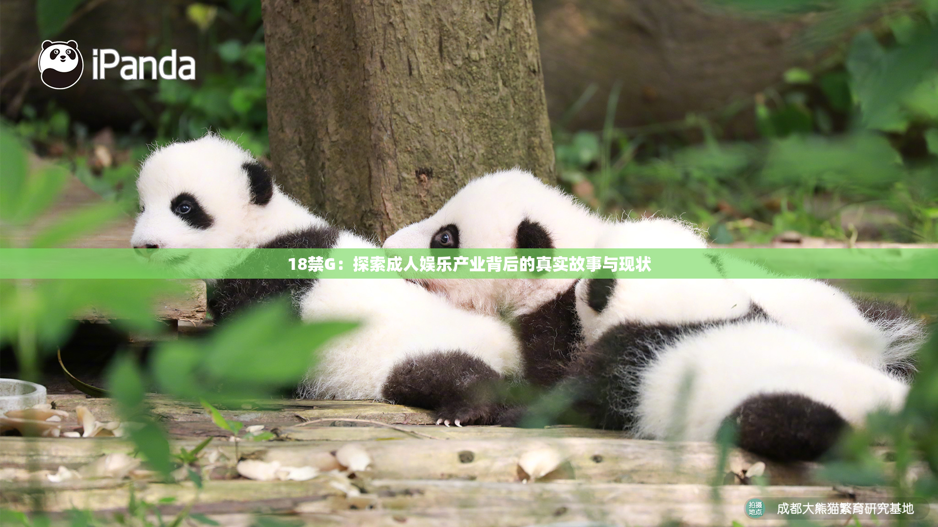 18禁G：探索成人娱乐产业背后的真实故事与现状