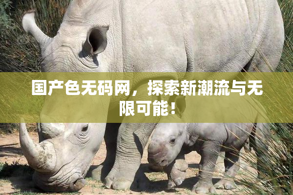 国产色无码网，探索新潮流与无限可能！