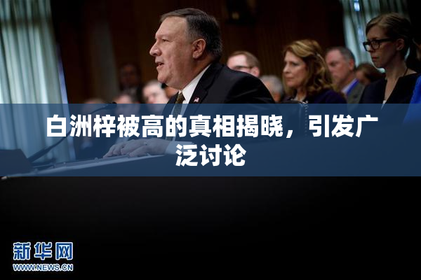 白洲梓被高的真相揭晓，引发广泛讨论