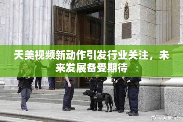 天美视频新动作引发行业关注，未来发展备受期待