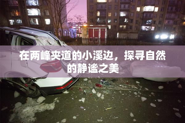 在两峰夹道的小溪边，探寻自然的静谧之美
