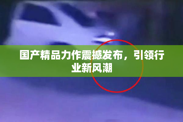 国产精品力作震撼发布，引领行业新风潮