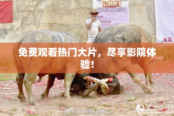 免费观看热门大片，尽享影院体验！