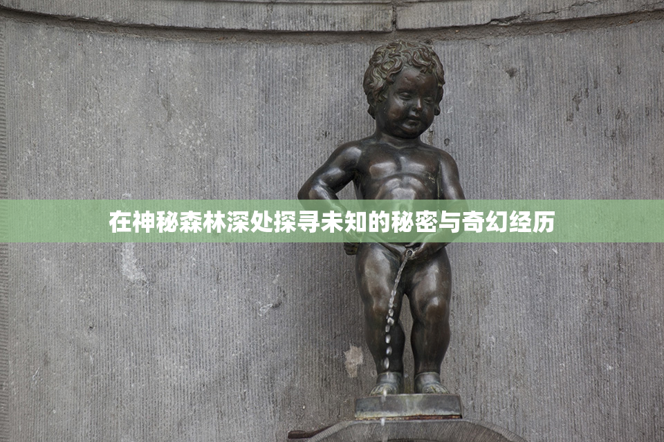 在神秘森林深处探寻未知的秘密与奇幻经历