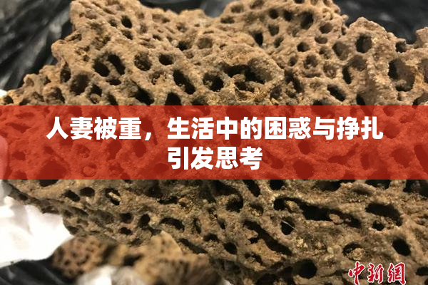 人妻被重，生活中的困惑与挣扎引发思考