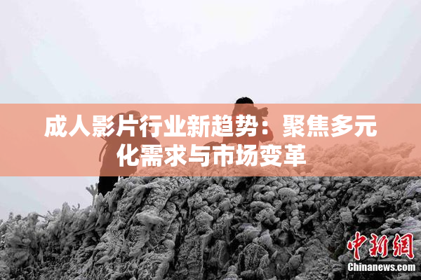 成人影片行业新趋势：聚焦多元化需求与市场变革