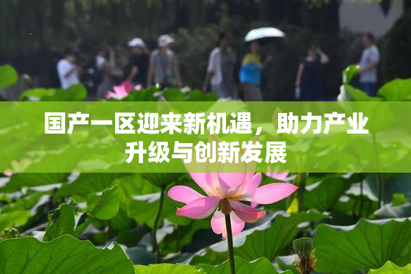 国产一区迎来新机遇，助力产业升级与创新发展