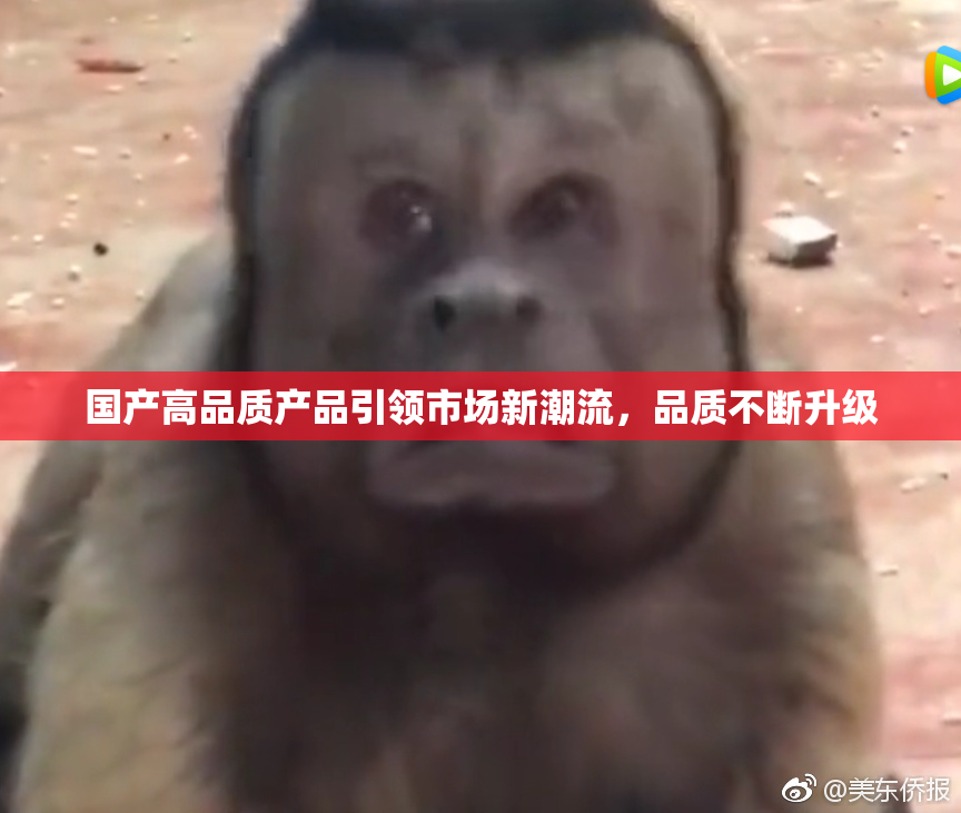 国产高品质产品引领市场新潮流，品质不断升级