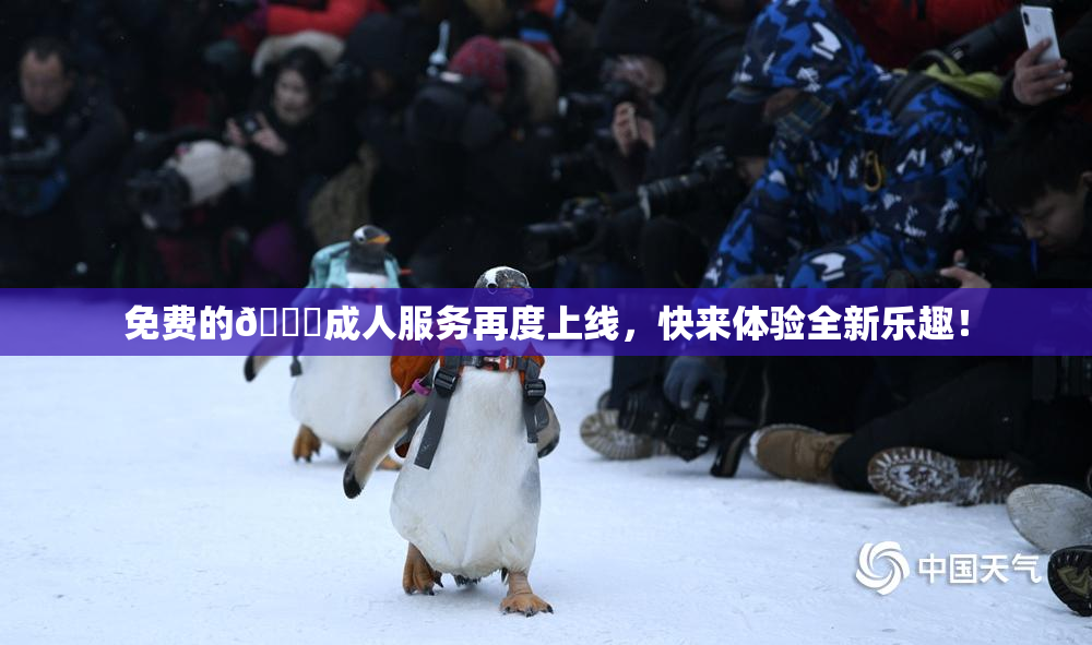 免费的🔞成人服务再度上线，快来体验全新乐趣！