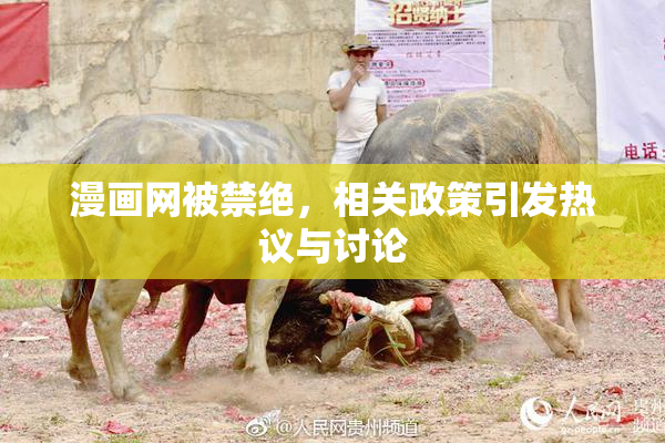 漫画网被禁绝，相关政策引发热议与讨论