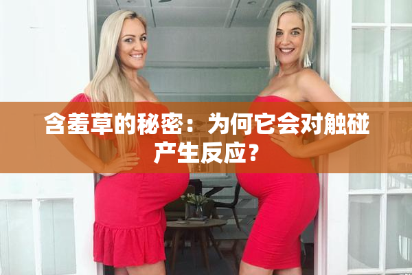 含羞草的秘密：为何它会对触碰产生反应？