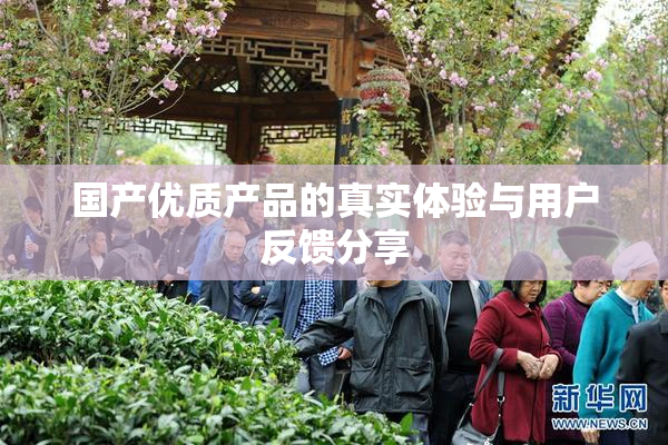 国产优质产品的真实体验与用户反馈分享