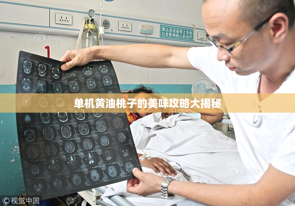 单机黄油桃子的美味攻略大揭秘