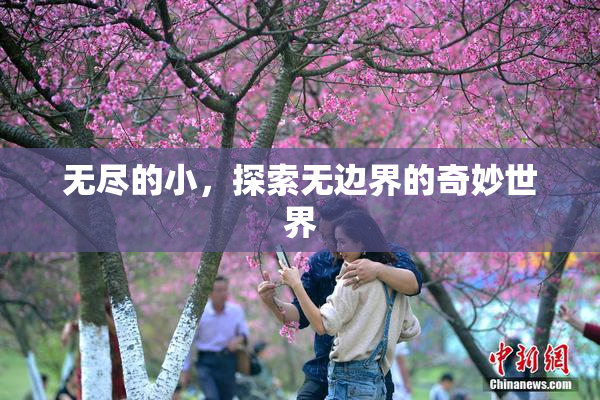 无尽的小，探索无边界的奇妙世界