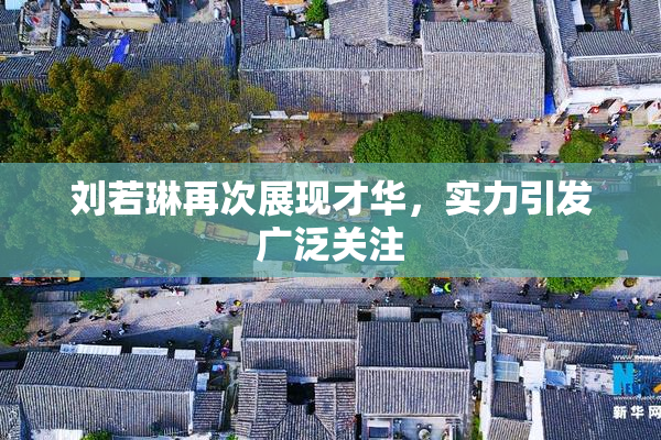 刘若琳再次展现才华，实力引发广泛关注