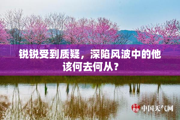 锐锐受到质疑，深陷风波中的他该何去何从？