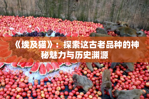 《埃及猫》：探索这古老品种的神秘魅力与历史渊源
