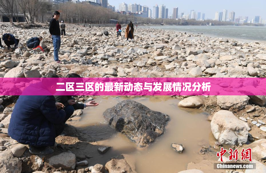 二区三区的最新动态与发展情况分析