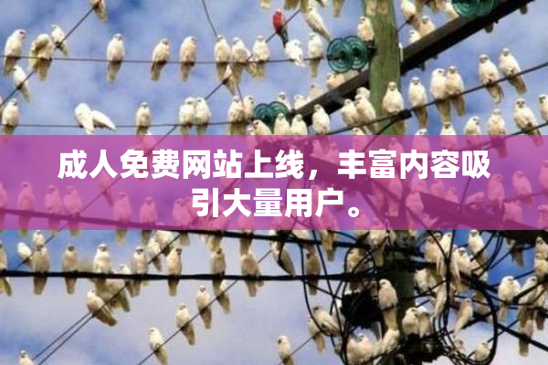成人免费网站上线，丰富内容吸引大量用户。
