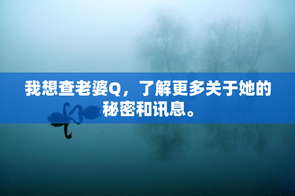 我想查老婆Q，了解更多关于她的秘密和讯息。
