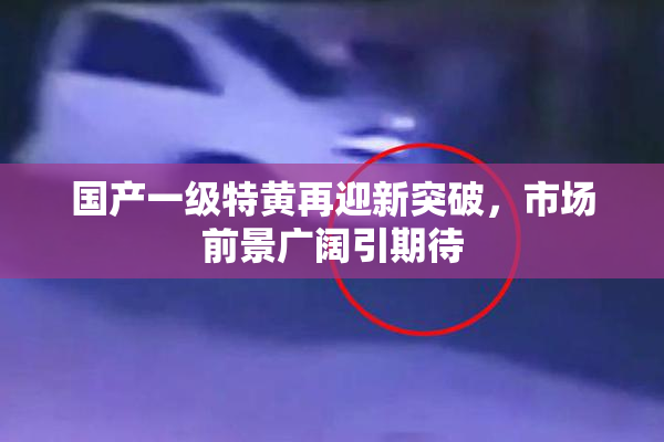 国产一级特黄再迎新突破，市场前景广阔引期待