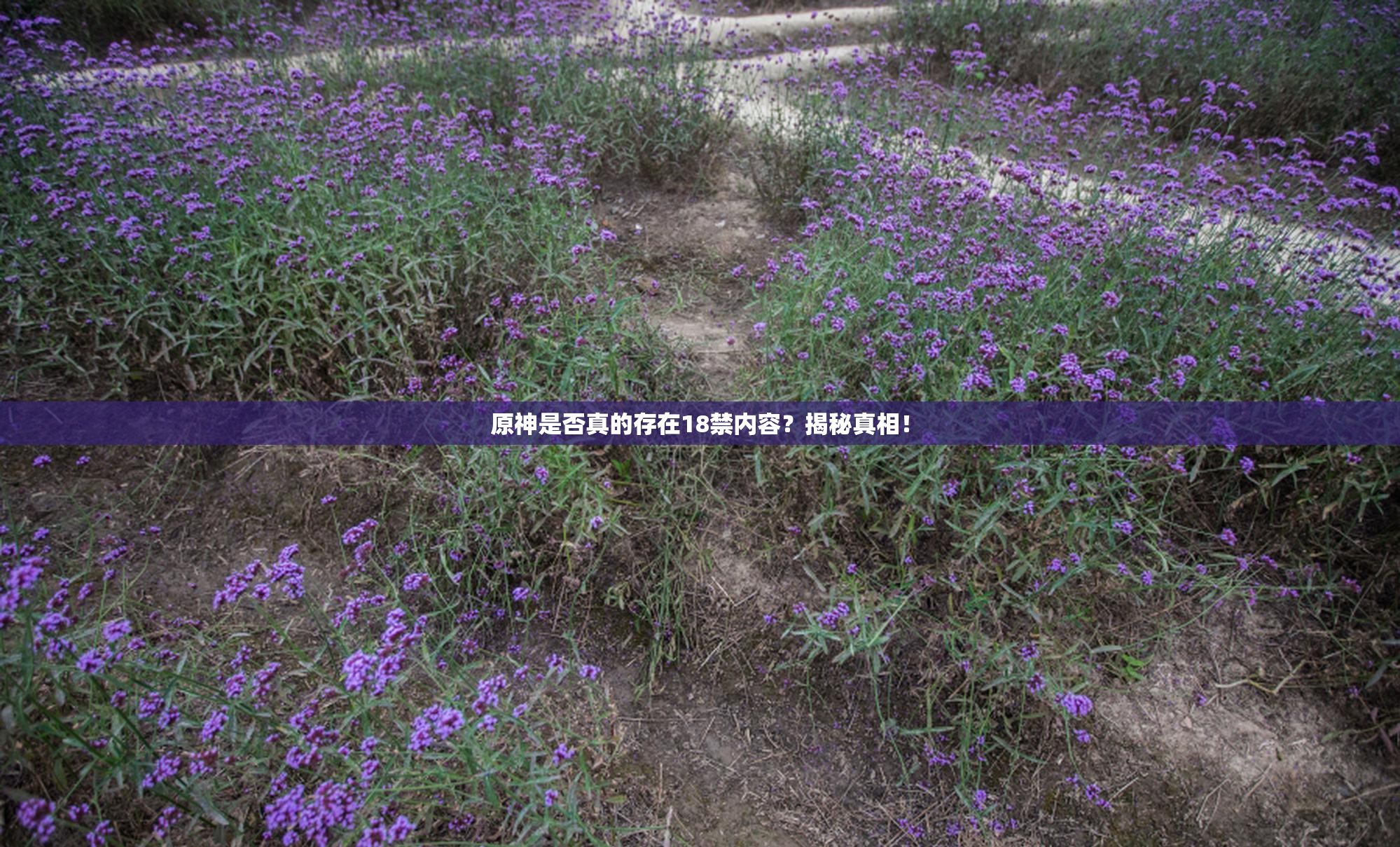 原神是否真的存在18禁内容？揭秘真相！