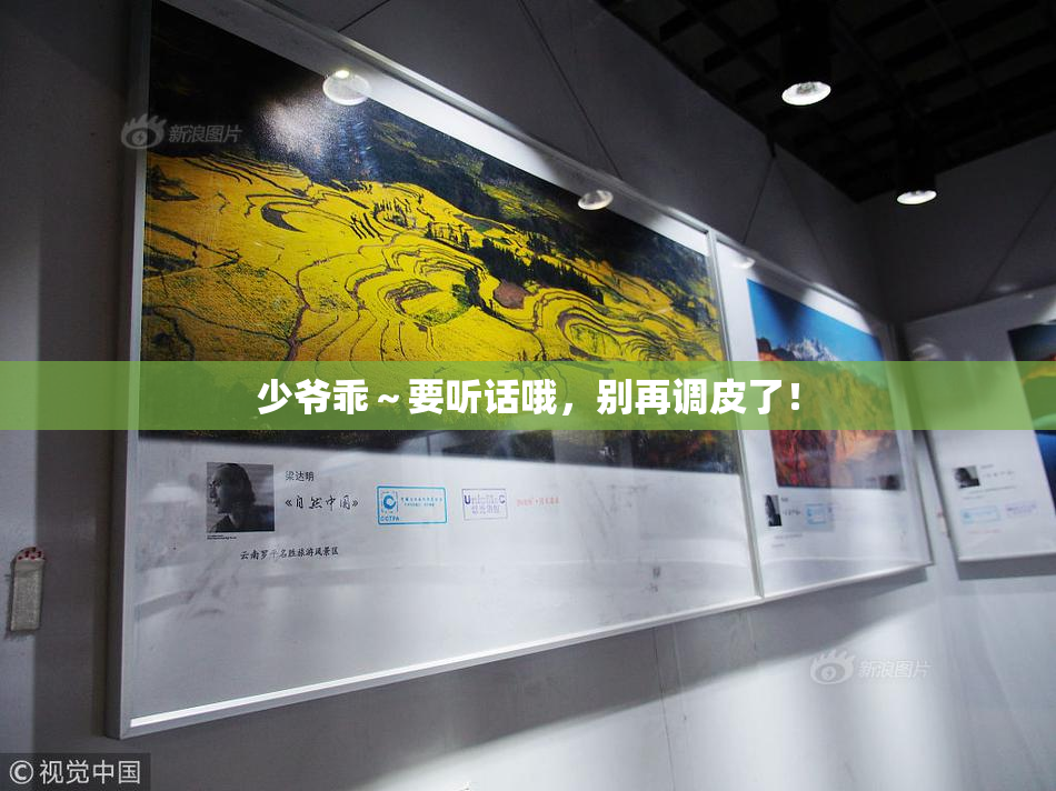 少爷乖～要听话哦，别再调皮了！