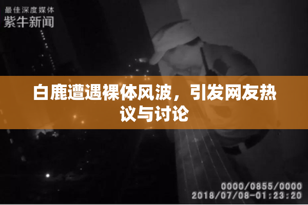 白鹿遭遇裸体风波，引发网友热议与讨论
