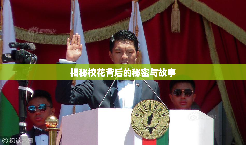 揭秘校花背后的秘密与故事