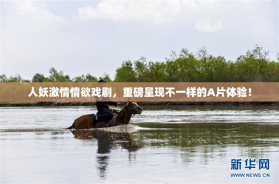 人妖激情情欲戏剧，重磅呈现不一样的A片体验！