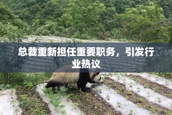 总裁重新担任重要职务，引发行业热议