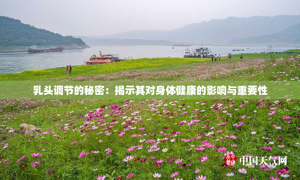 乳头调节的秘密：揭示其对身体健康的影响与重要性