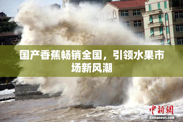 国产香蕉畅销全国，引领水果市场新风潮