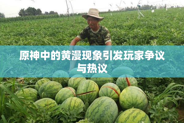 原神中的黄漫现象引发玩家争议与热议