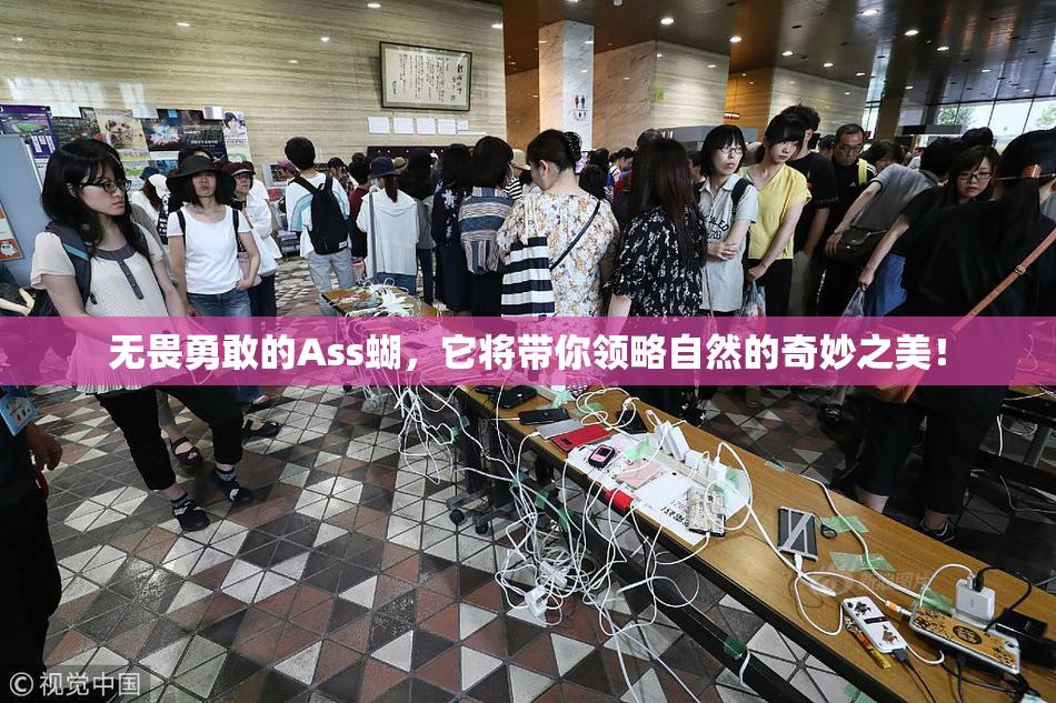 无畏勇敢的Ass蝴，它将带你领略自然的奇妙之美！
