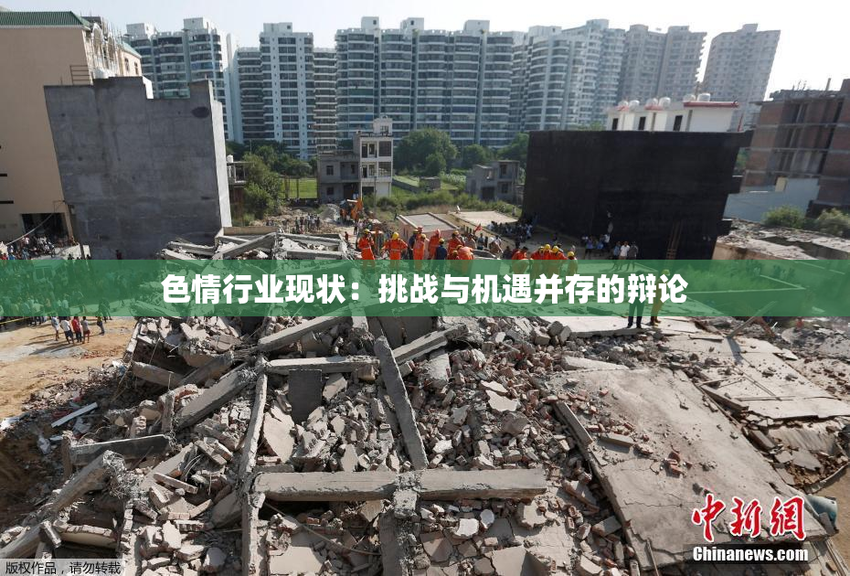 色情行业现状：挑战与机遇并存的辩论