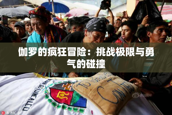 伽罗的疯狂冒险：挑战极限与勇气的碰撞