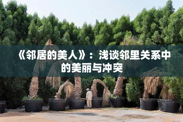 《邻居的美人》：浅谈邻里关系中的美丽与冲突