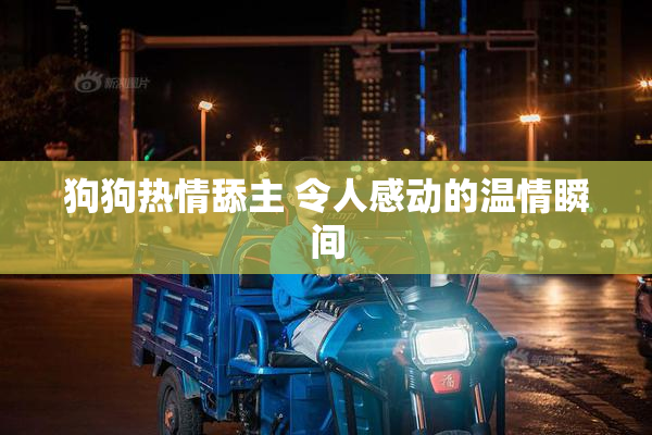 狗狗热情舔主 令人感动的温情瞬间