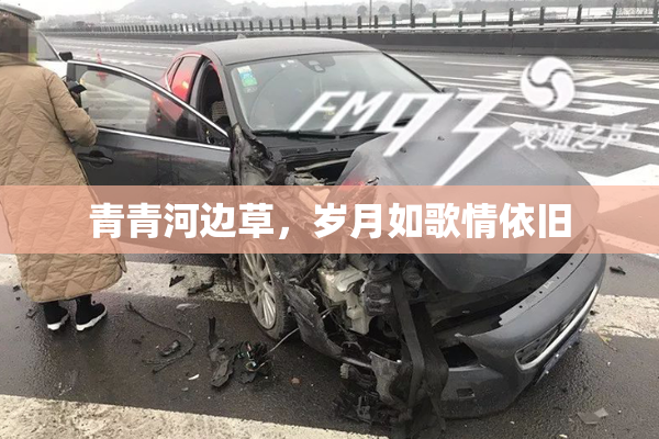 青青河边草，岁月如歌情依旧