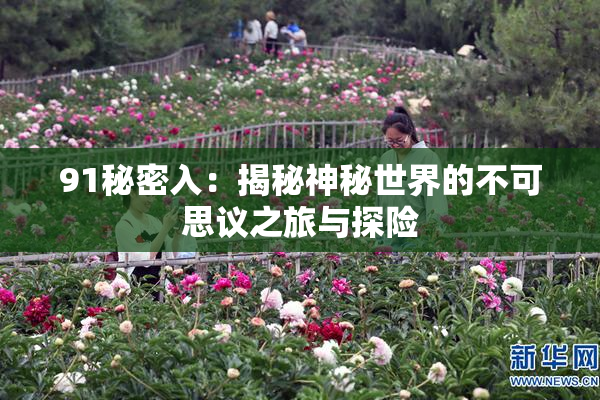 91秘密入：揭秘神秘世界的不可思议之旅与探险