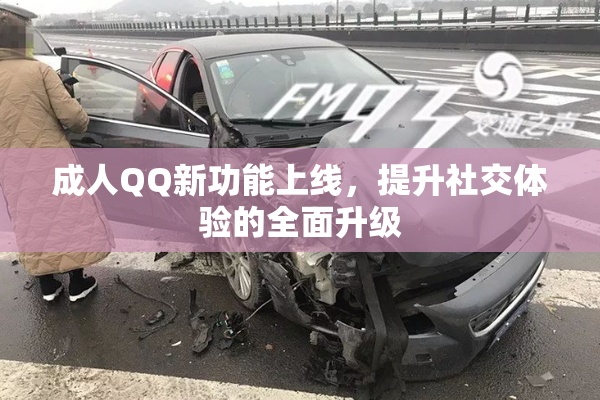 成人QQ新功能上线，提升社交体验的全面升级