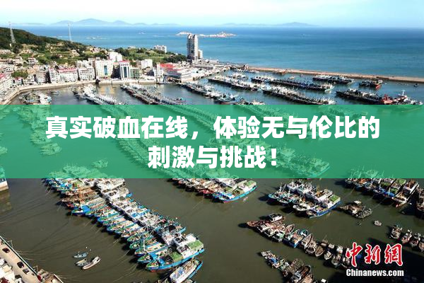 真实破血在线，体验无与伦比的刺激与挑战！