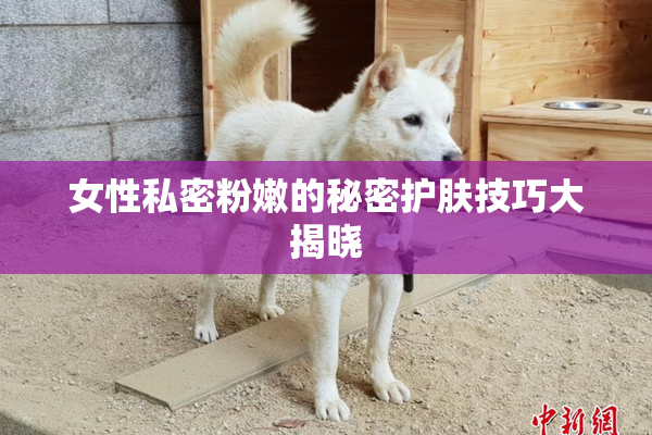 女性私密粉嫩的秘密护肤技巧大揭晓