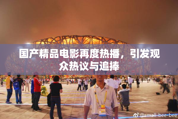 国产精品电影再度热播，引发观众热议与追捧