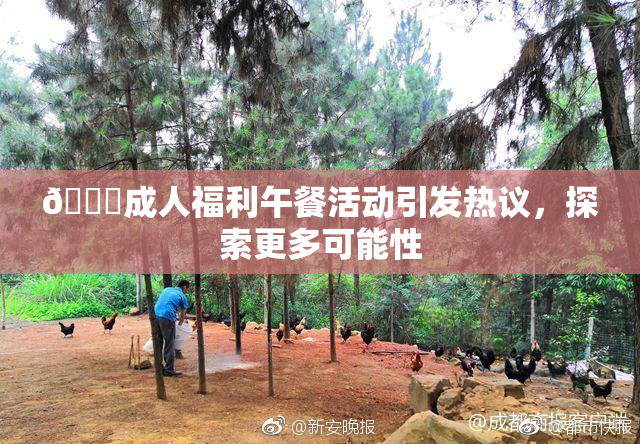 🔞成人福利午餐活动引发热议，探索更多可能性