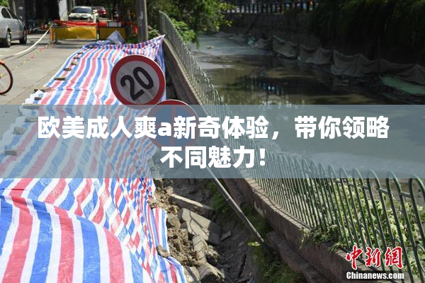 欧美成人爽a新奇体验，带你领略不同魅力！